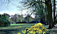 Hirschpark im Frühling